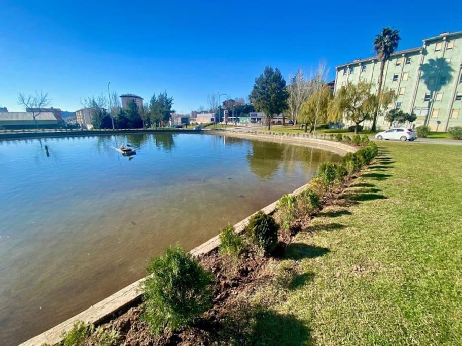 Apartamento Renovado No Centro Da Cidade - Casa4 Coimbra Luaran gambar